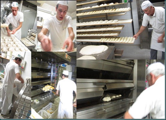 panettiere, pane, panificazione fermento lievito delizie del grano nicola trentin panettiere, pane, panificazione fermento lievito delizie del grano nicola trentin