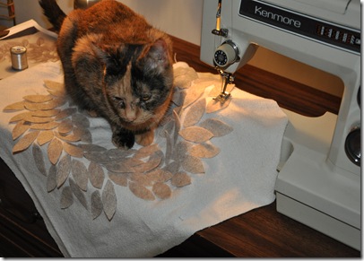 DSC_0078 DSC_0078