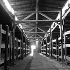 20061123132614__PB232227_2.JPG