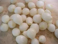 Pearl Onions Pearl Onions