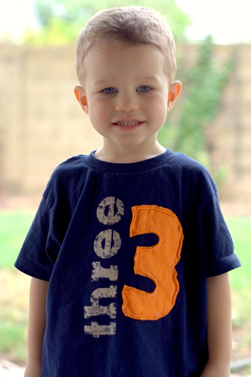 [Third%2520birthday%2520shirt%255B6%255D.jpg]