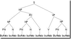 Buffalo