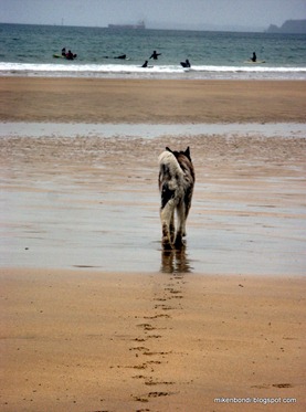 Freshwater West, Pembrokeshire Wales