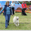 Pet Dogs 033.jpg