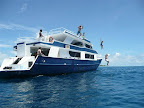 Jump to the boat
