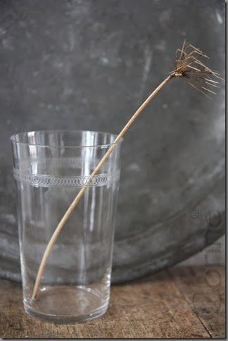 waterglas waterglas