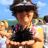 Sue's Keeping A Close Eye On Her Spiky New Friend - Philipsburg, St. Maarten