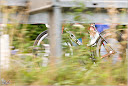 Roth_2010_092.jpg