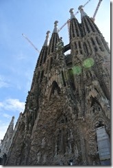 DSC_3736 DSC_3736