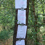 GFB2 Verkenners zomerkamp 2008 014.jpg