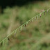 20111016_3