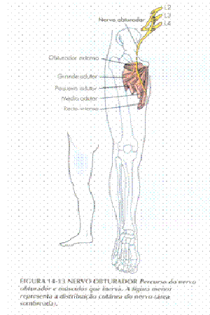 clip_image017 clip_image017
