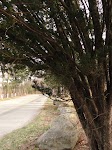 DSC02999.JPG