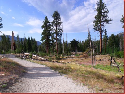 mammoth 043