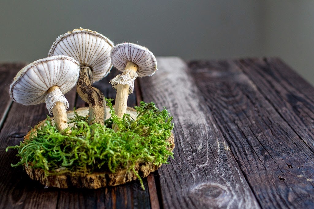 [fall-007%255B3%255D.jpg]