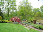 This more formal area of the garden, with its stone steps, paths, and walls, contains many ornamental plants and has lots of areas to explore.