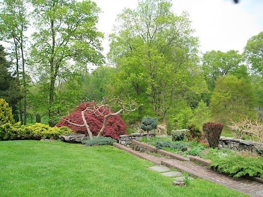 This more formal area of the garden, with its stone steps, paths, and walls, contains many ornamental plants and has lots of areas to explore.