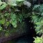 Maïna s'aventure dans la Ti tou gorge