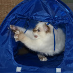 Luca 26.07.09-147.JPG