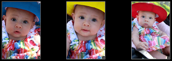 SEO Expert - Many hats