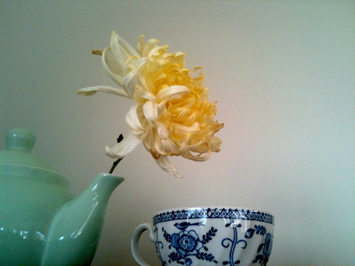 second hand styling tea green teapot