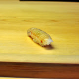 DSC_5219.JPG