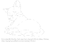 [AA]Cat (Animal)