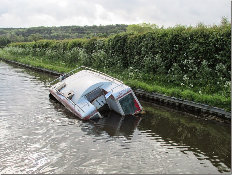 shroppie 026