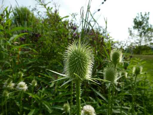 P1120251