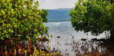 DSC_1847 DSC_1847