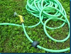 hoses