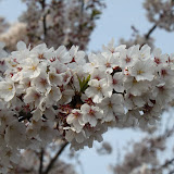 20120408_