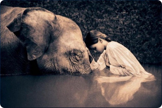 animals-nature-photography-gregory-colbert-ashes-and-snow-chicquero-girl-elephant