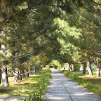 20080902-DSC_9102.jpg