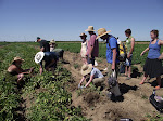 DSCF1446.JPG