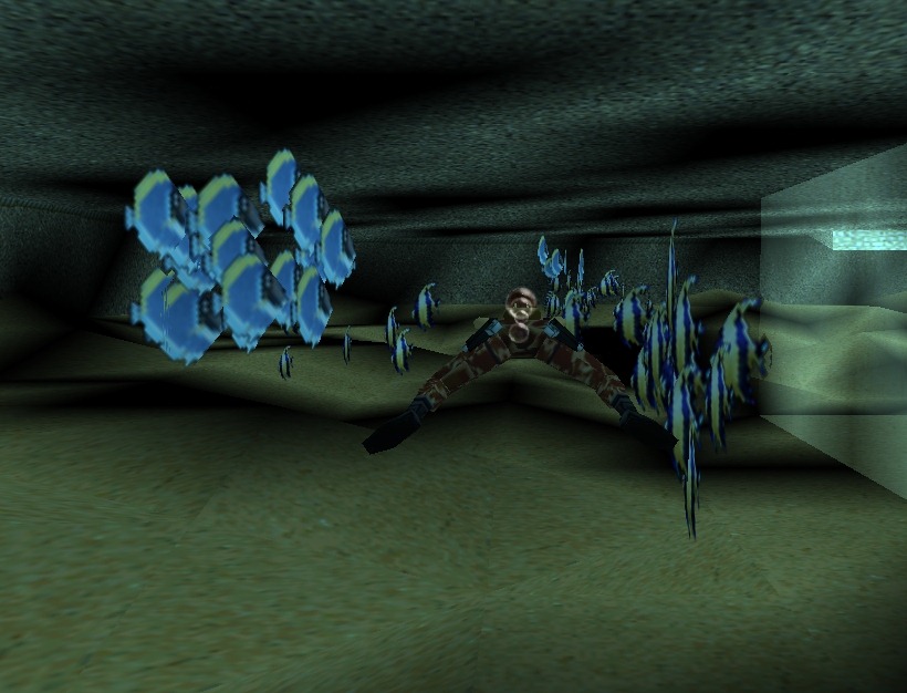 [TR3_Lvl0_Home_Fishes1.jpg]
