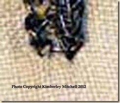 xstitchstartcloseup xstitchstartcloseup