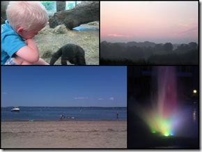 July 2011 Blog Review