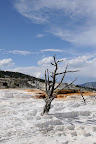 DSC_2102.jpg