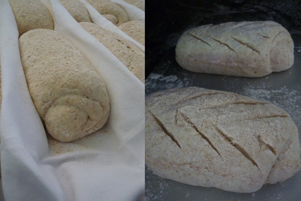 [pane-accademia-del-tartufo-12.jpg]