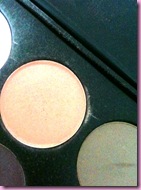 fotd tuesday pale peach shadow