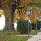 20091031 Allgaeu 0115 [640x480].JPG