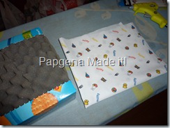 P1000333 P1000333