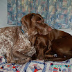 Batnuni Fishing trip 2011 044.JPG