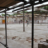 img_8300.jpg