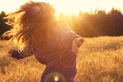 Libre Libre