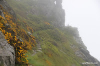 IMG_9371.JPG Photo