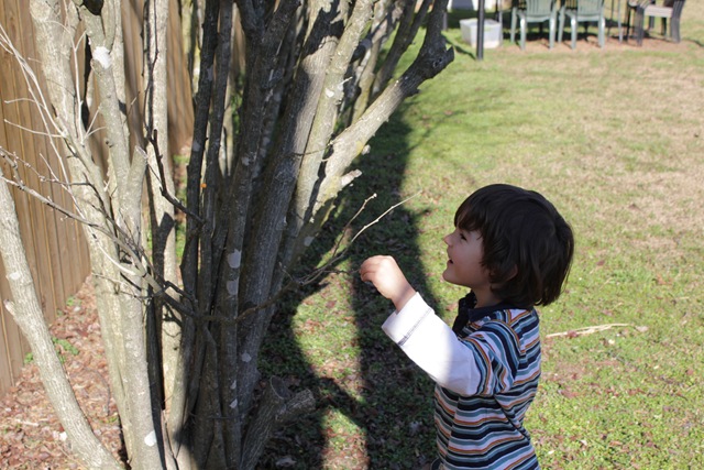 [IMG_6818%255B4%255D.jpg]
