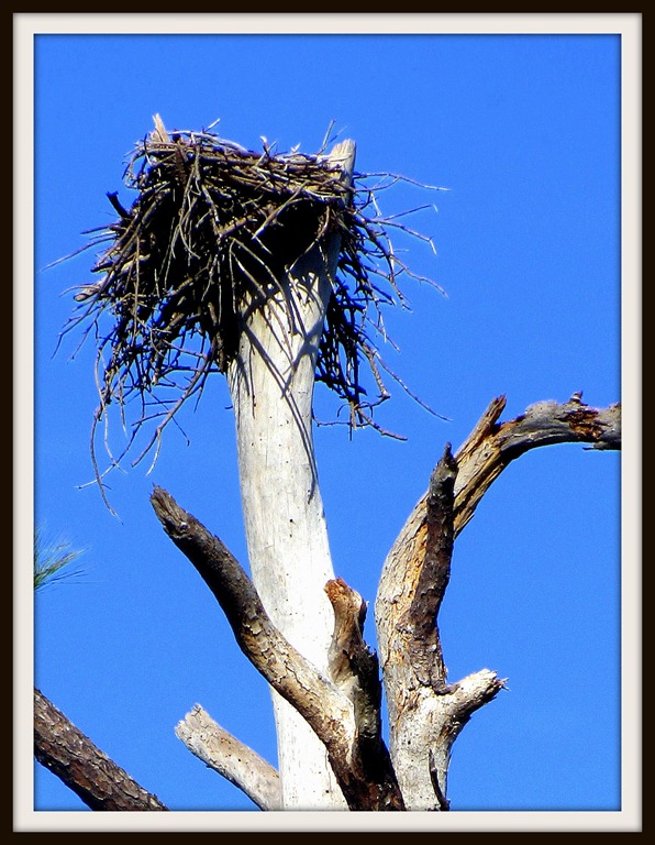 [IMG_4135_Eagles%2520Nest%255B3%255D.jpg]