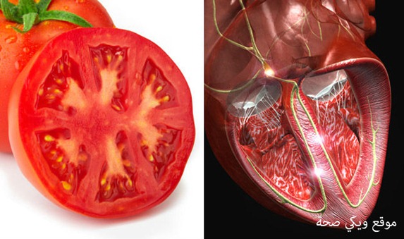 07-Tomato-HeartFoods-That-Look-Like-Body-Parts-1 07-Tomato-HeartFoods-That-Look-Like-Body-Parts-1
